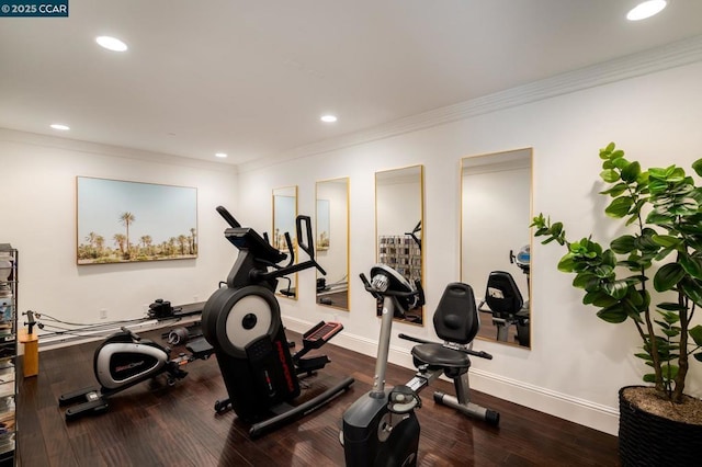 exercise area featuring ornamental molding and hardwood / wood-style floors