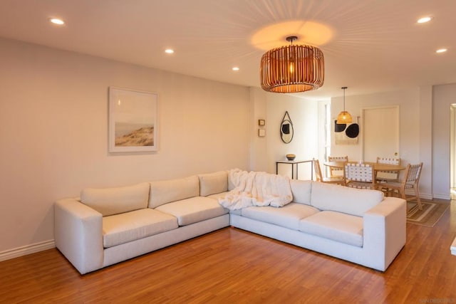 living room with wood-type flooring