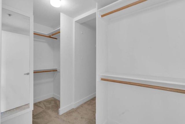 spacious closet featuring light carpet