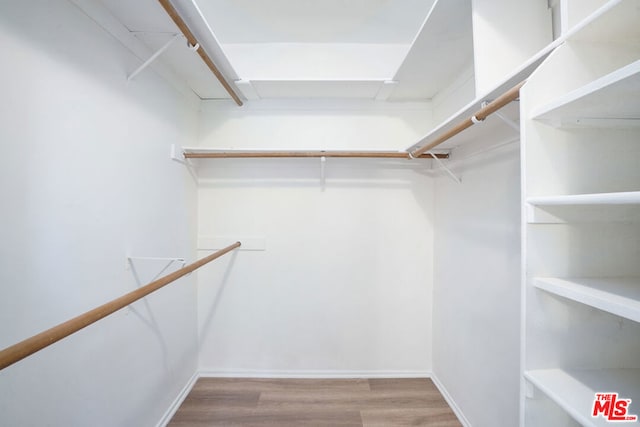 spacious closet featuring light wood-type flooring