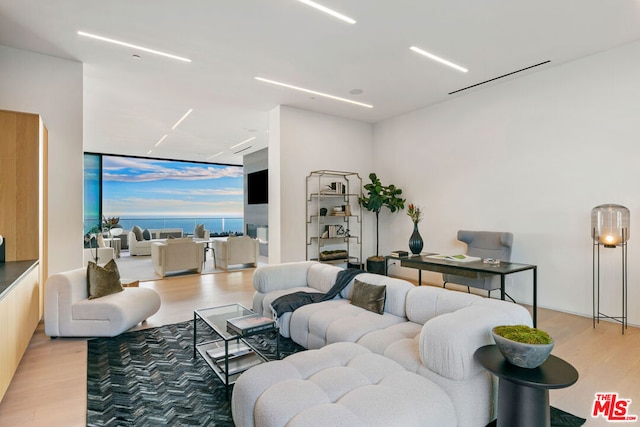 living room with light hardwood / wood-style floors and floor to ceiling windows