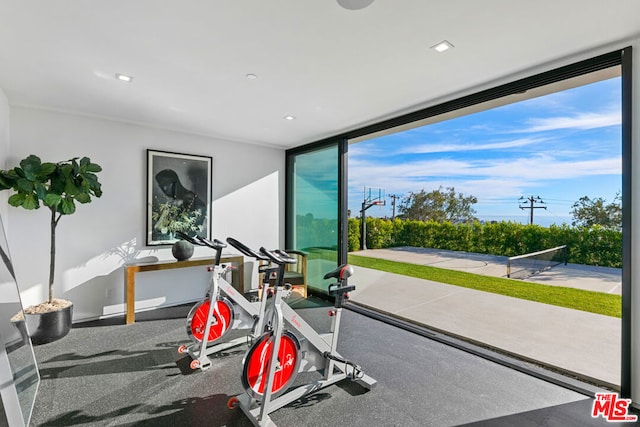 workout room featuring a wall of windows