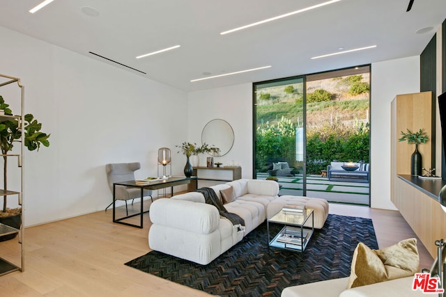 living room with expansive windows and wood-type flooring