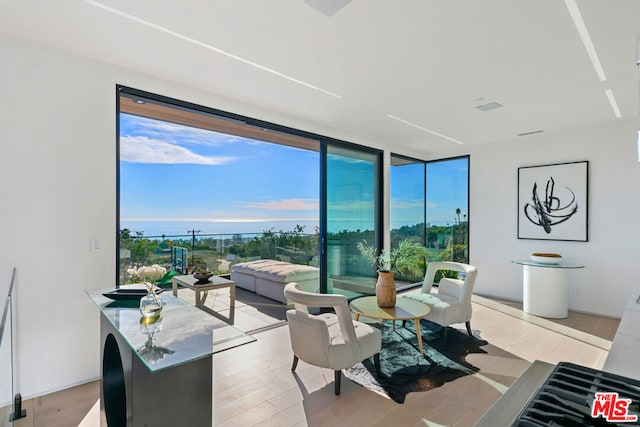 interior space featuring floor to ceiling windows, a wealth of natural light, and light wood-type flooring