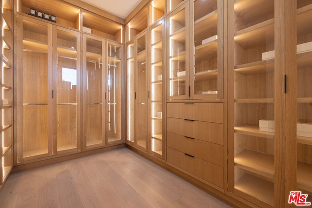 walk in closet featuring light hardwood / wood-style floors