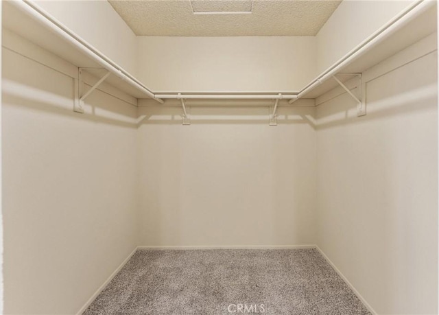 walk in closet with carpet flooring