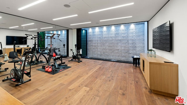 gym with a wall of windows and light hardwood / wood-style flooring