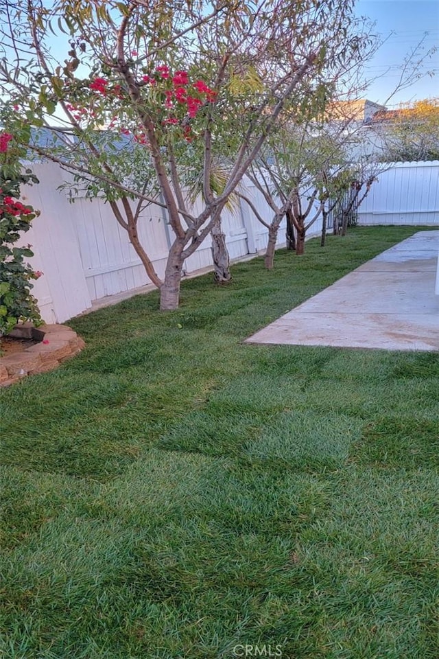 view of yard featuring a patio