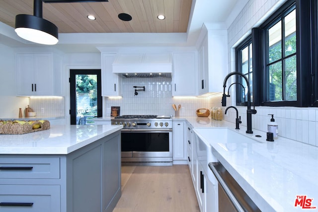 kitchen featuring white cabinetry, stainless steel appliances, decorative backsplash, premium range hood, and light hardwood / wood-style floors