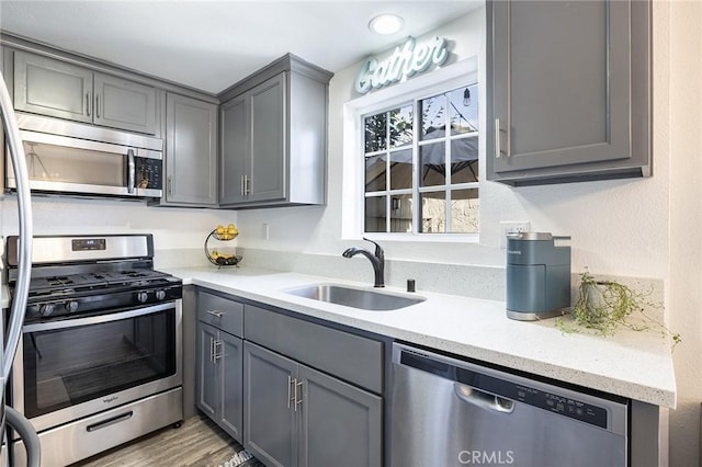 kitchen with sink, gray cabinets, stainless steel appliances, and hardwood / wood-style flooring