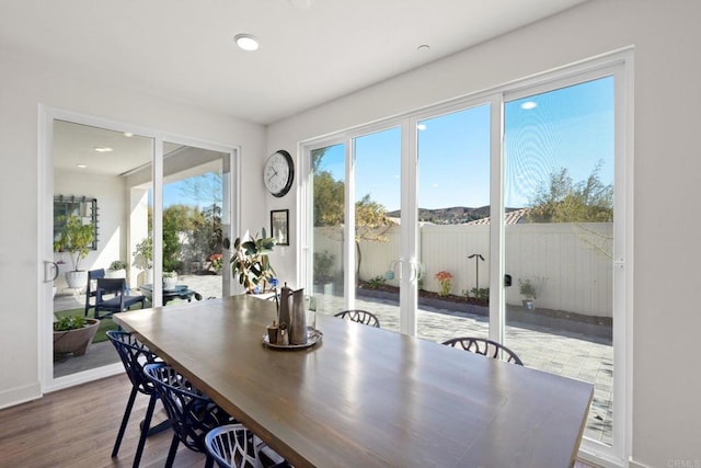 dining room featuring hardwood / wood-style floors