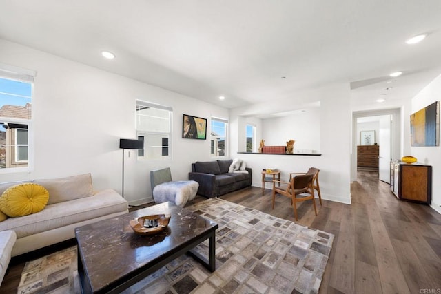 living room with hardwood / wood-style flooring