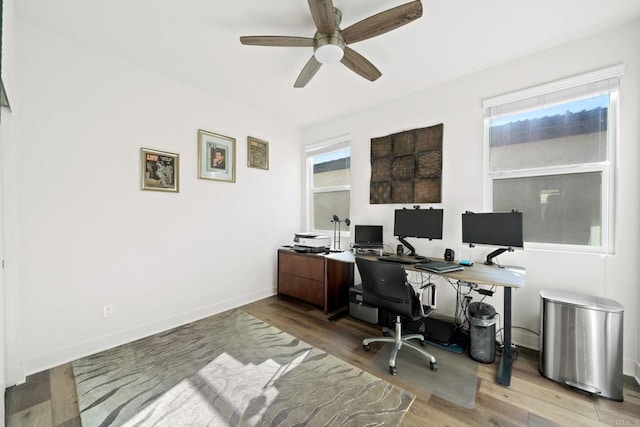 office area featuring ceiling fan and light hardwood / wood-style flooring