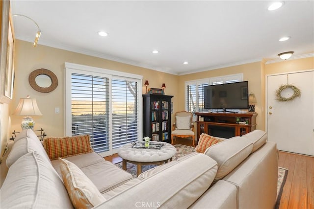 living room with crown molding and light hardwood / wood-style flooring