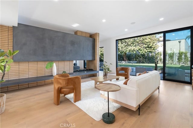 living room with light hardwood / wood-style floors