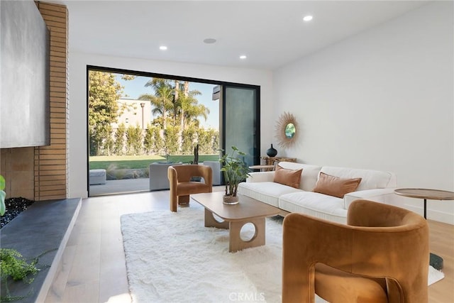 living room featuring light hardwood / wood-style flooring