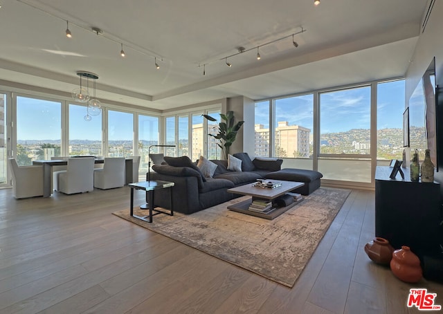 living room with wood-type flooring