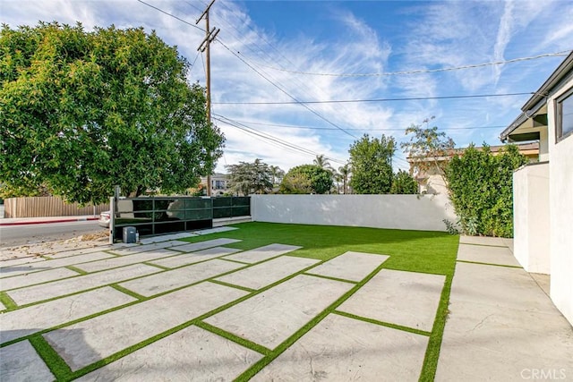 view of yard featuring a patio