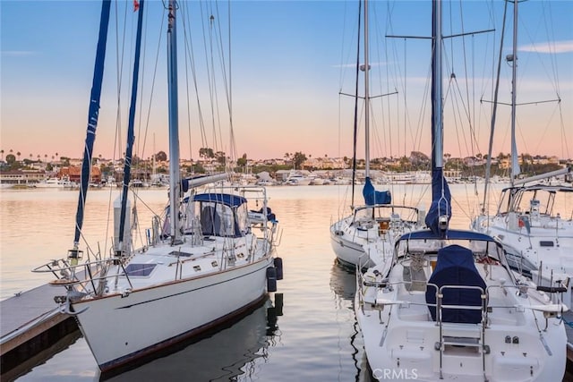 dock area featuring a water view