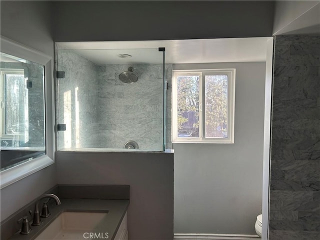 bathroom with vanity, toilet, and a walk in shower