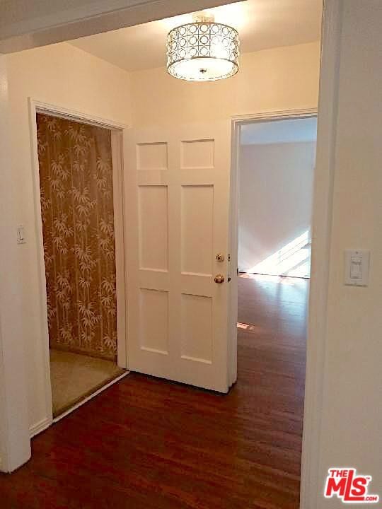 interior space featuring dark hardwood / wood-style flooring