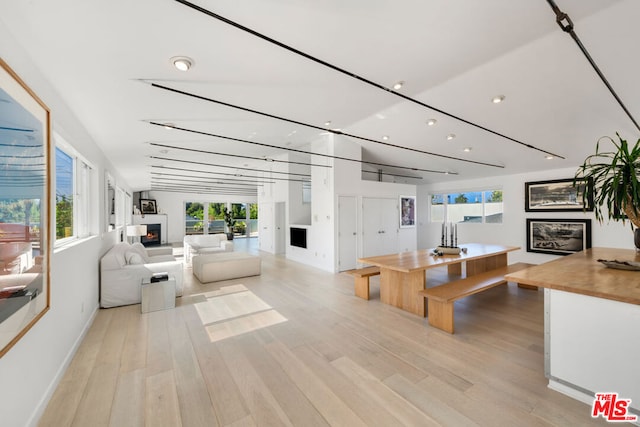 living room featuring light hardwood / wood-style flooring