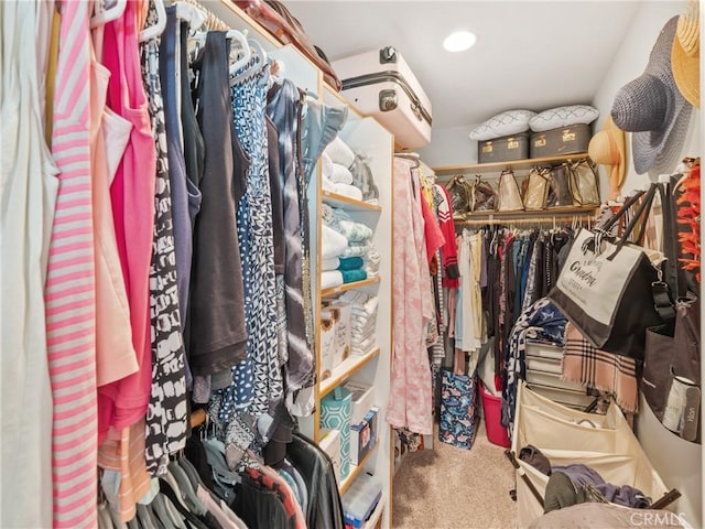 spacious closet featuring carpet flooring