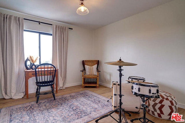 living area with light hardwood / wood-style flooring