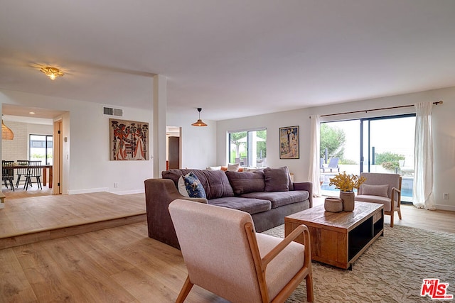 living room with light hardwood / wood-style flooring and a wealth of natural light