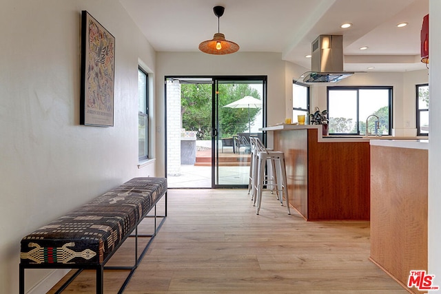 interior space featuring sink and light wood-type flooring