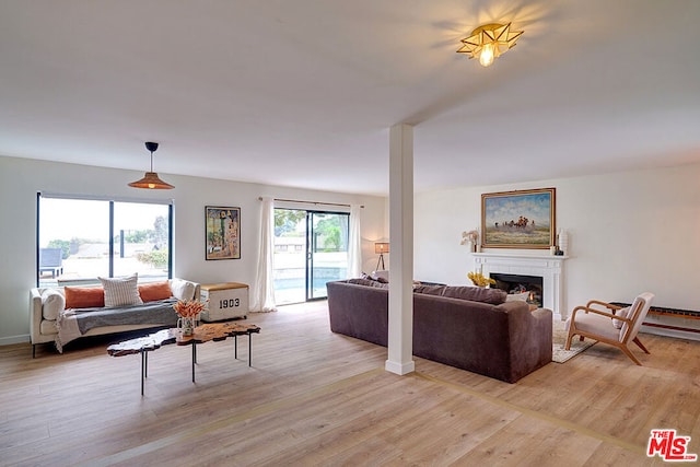 living room with light wood-type flooring