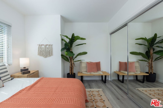 bedroom with wood-type flooring and a closet