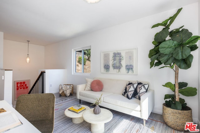 living room with wood-type flooring