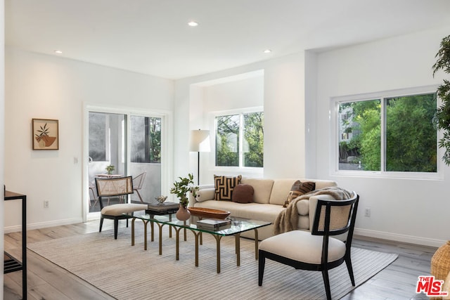 living room with light wood-type flooring