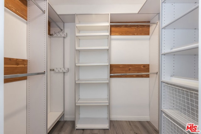 walk in closet with wood-type flooring