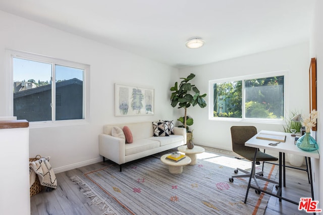 home office with hardwood / wood-style floors