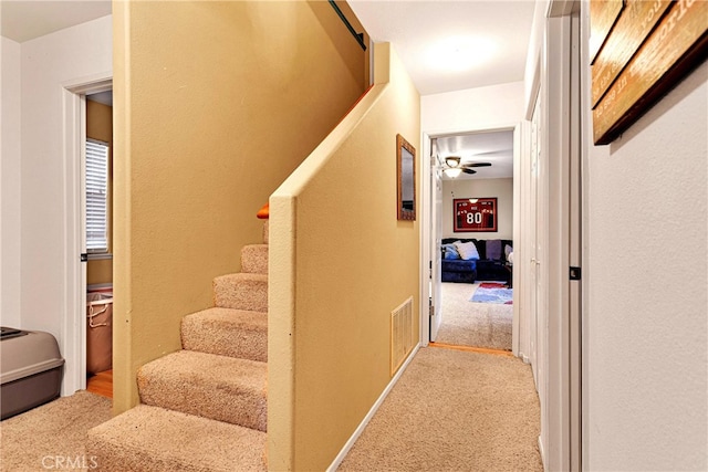 staircase with ceiling fan and carpet flooring