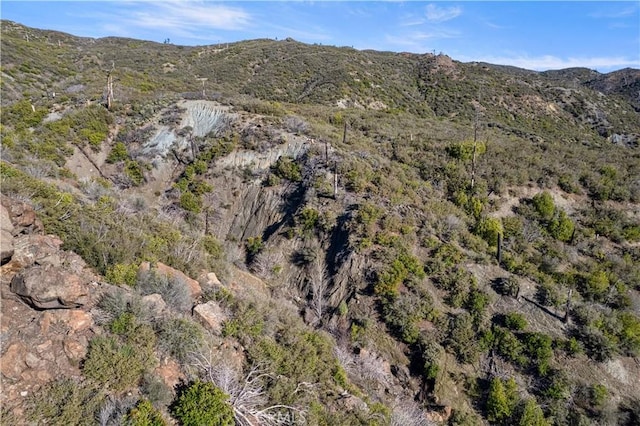 view of mountain feature