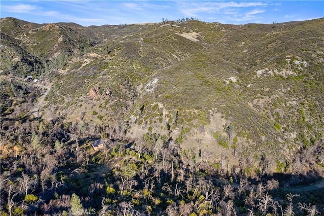 view of mountain feature