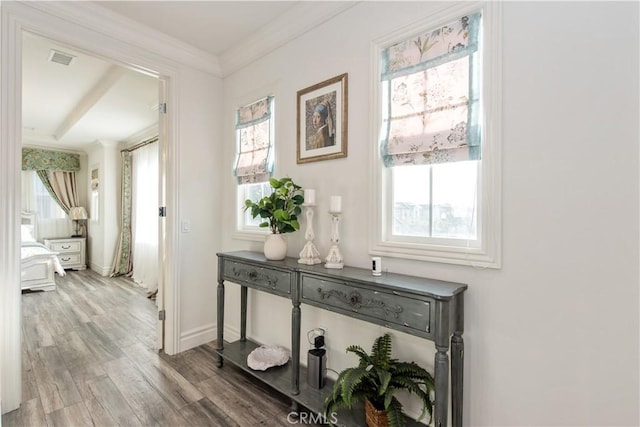 hallway featuring hardwood / wood-style floors, ornamental molding, and plenty of natural light