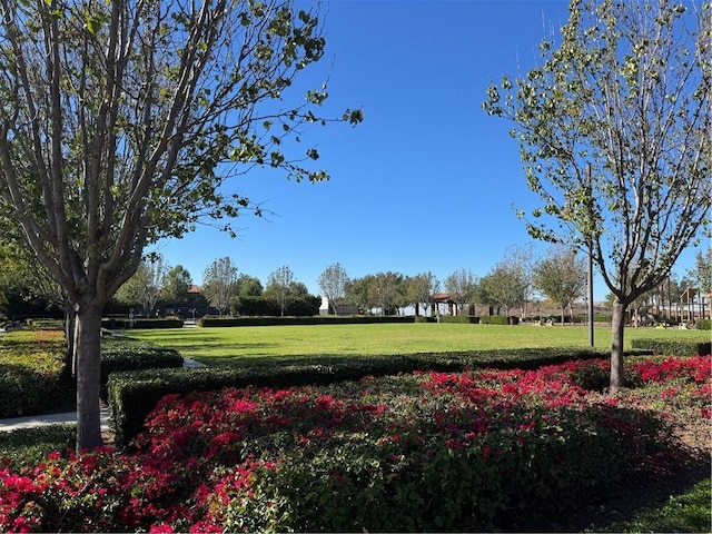 view of home's community with a yard