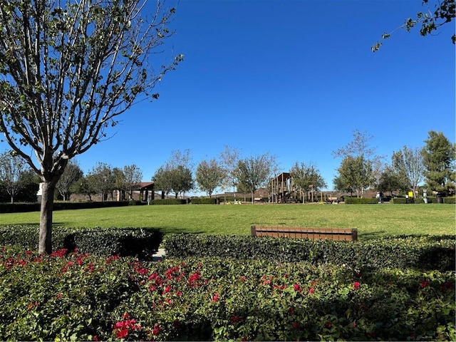 view of home's community featuring a lawn