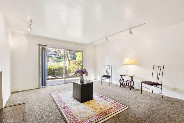 carpeted living room with track lighting