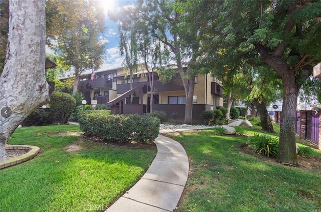 view of community featuring a lawn