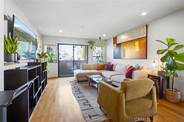 living room with hardwood / wood-style floors and a textured ceiling