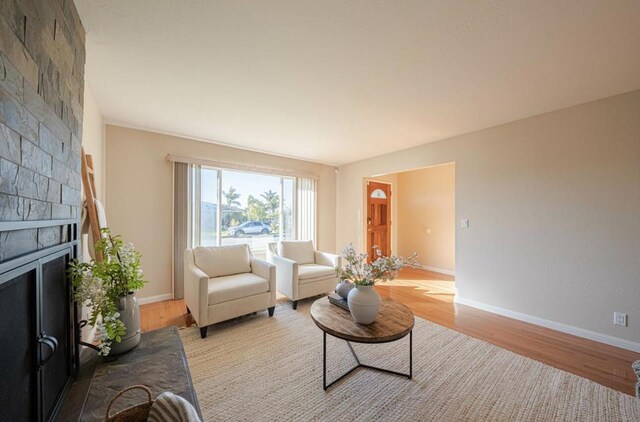 living room with a large fireplace and light hardwood / wood-style flooring