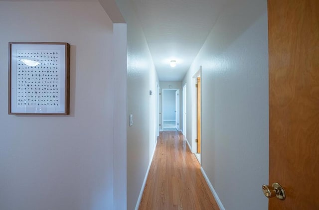 hallway featuring light hardwood / wood-style flooring