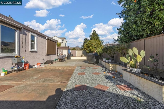 view of yard featuring a patio