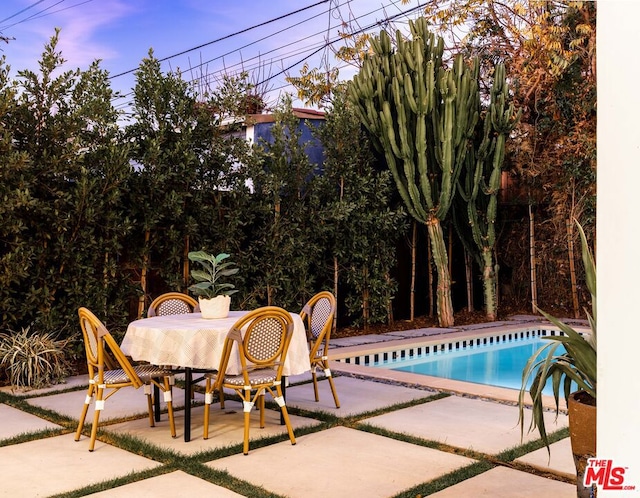 view of swimming pool featuring a patio