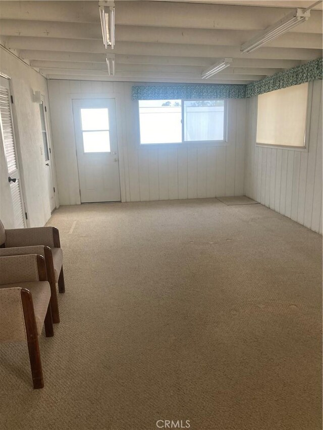 basement featuring carpet floors